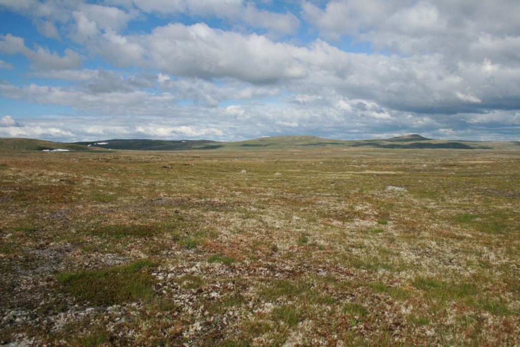 Parc national de l'Hardangervidda