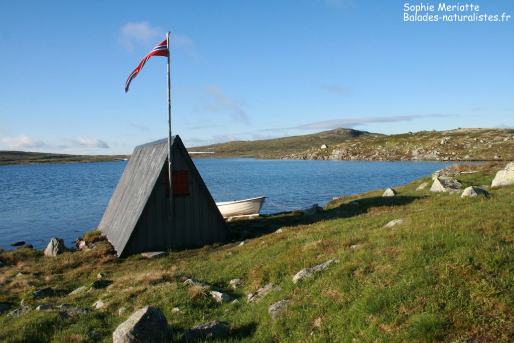 Parc national de l'Hardangervidda