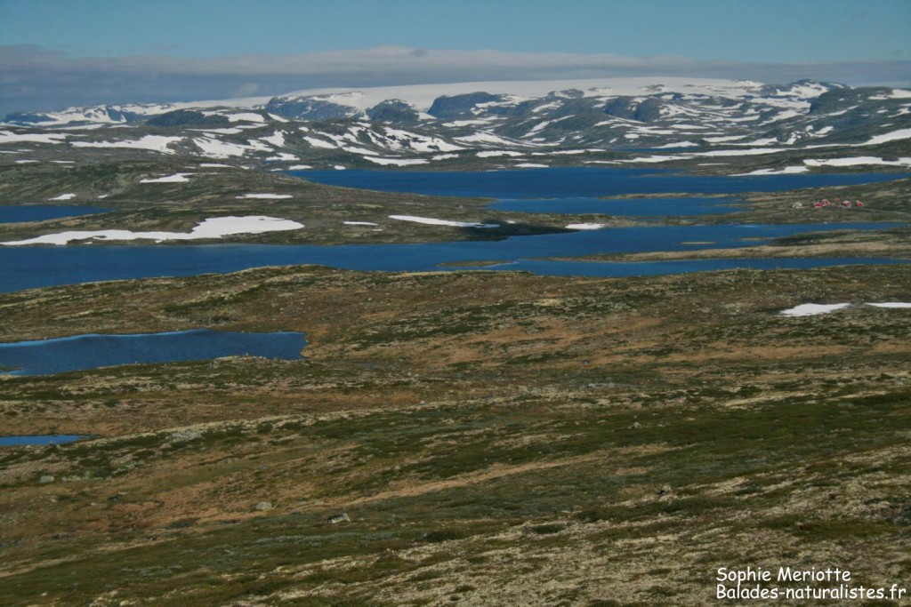 Parc national de l'Hardangervidda