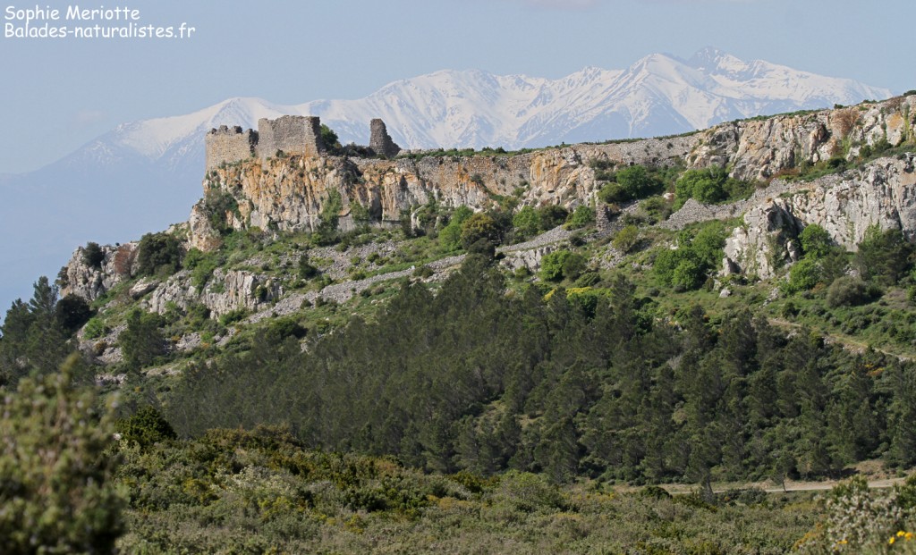 Chateau d'Opoul