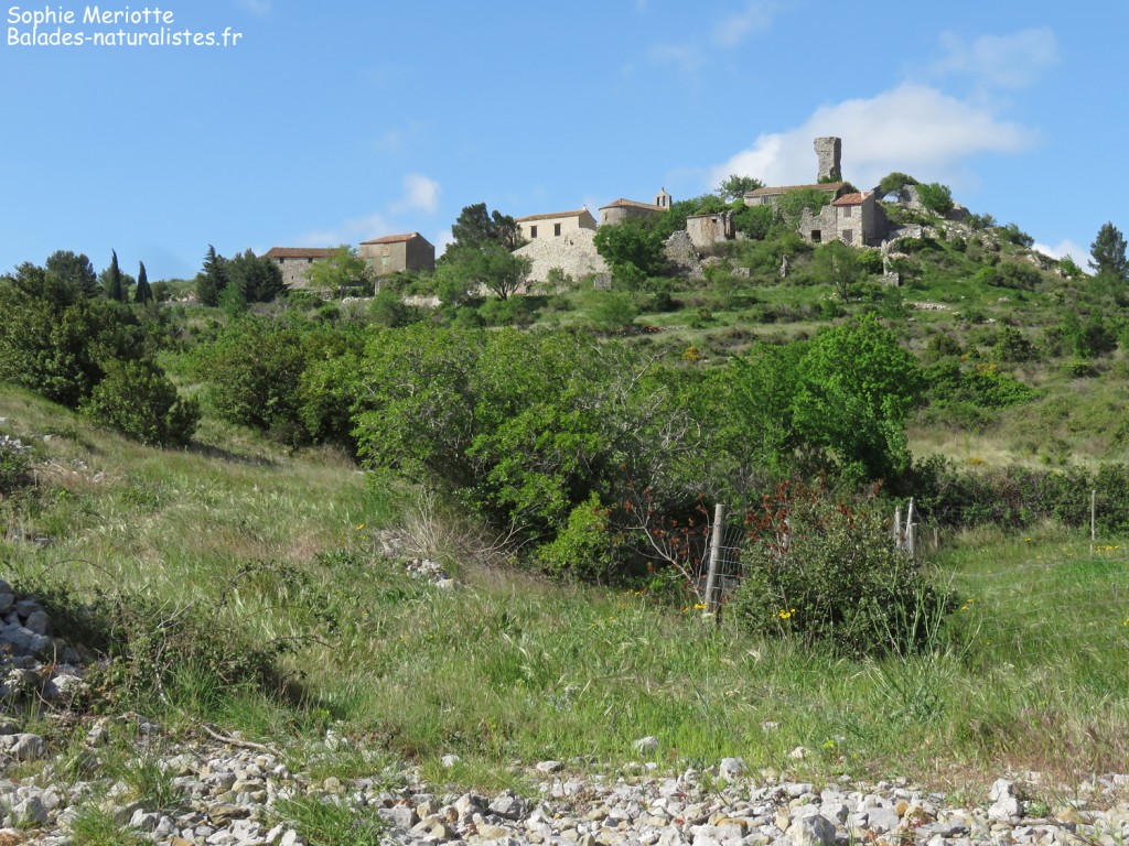 Village d'Opoul