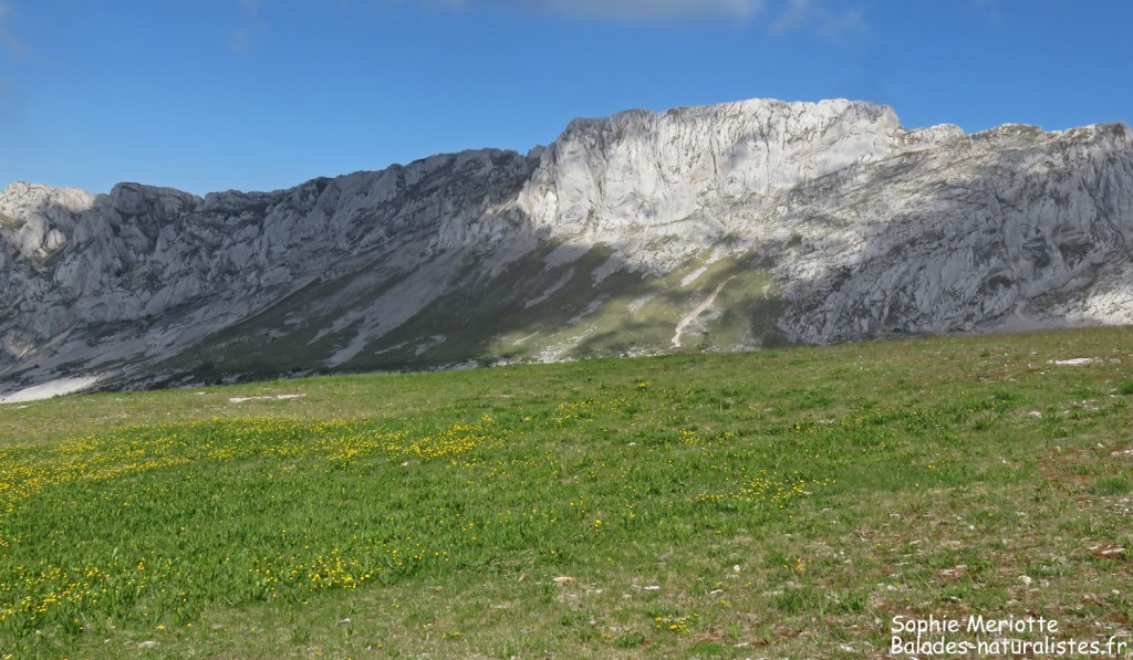 Le Balcon Est du Vercors