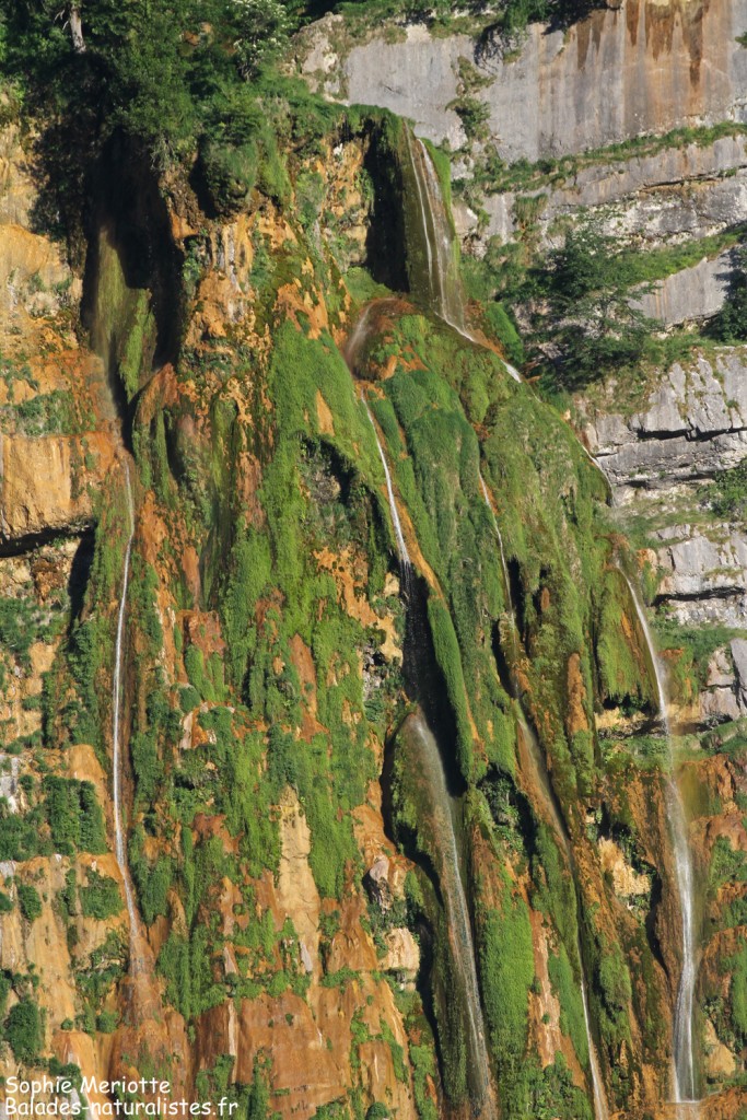 Cascade dans le Cirque de Bournillon