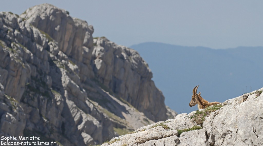 Etagne près du col des deux soeurs