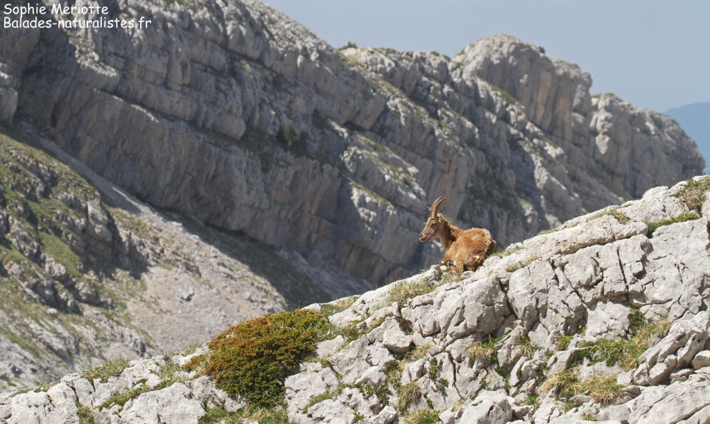 Etagne près du col des deux soeurs