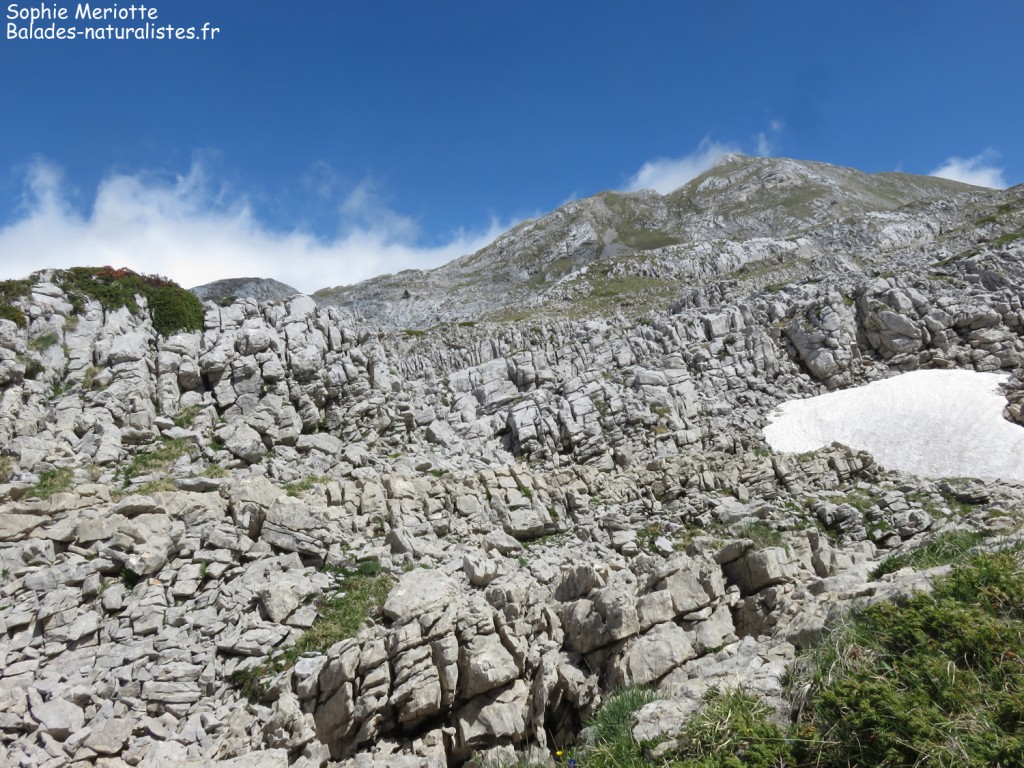 Chemin vers le col des deux soeurs