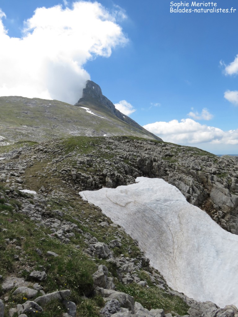Scialet et Grande Moucherolle