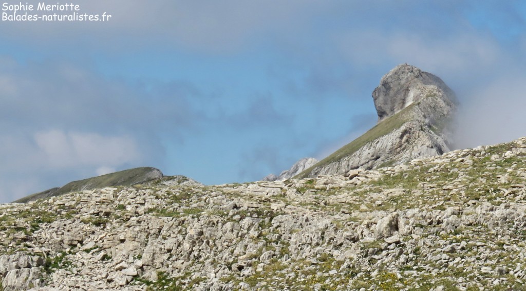 Plateau karstique du col des deux soeurs