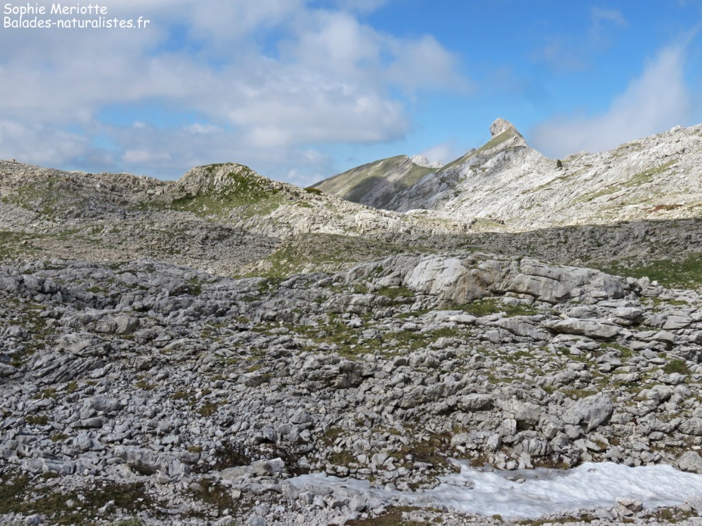 Plateau karstique du col des deux soeurs