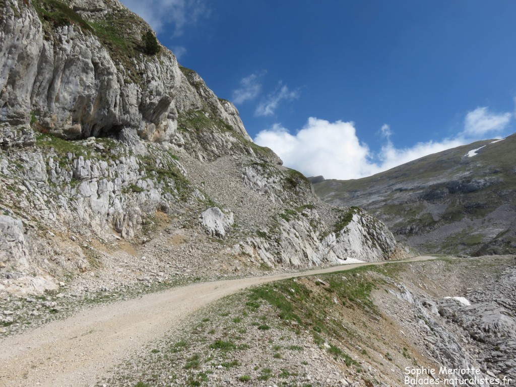 Sentier en direction du col des deux soeurs