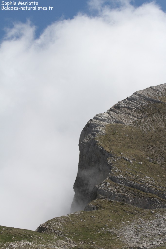 Le col des deux soeurs