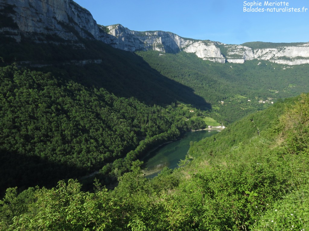 Gorges de la Bourne