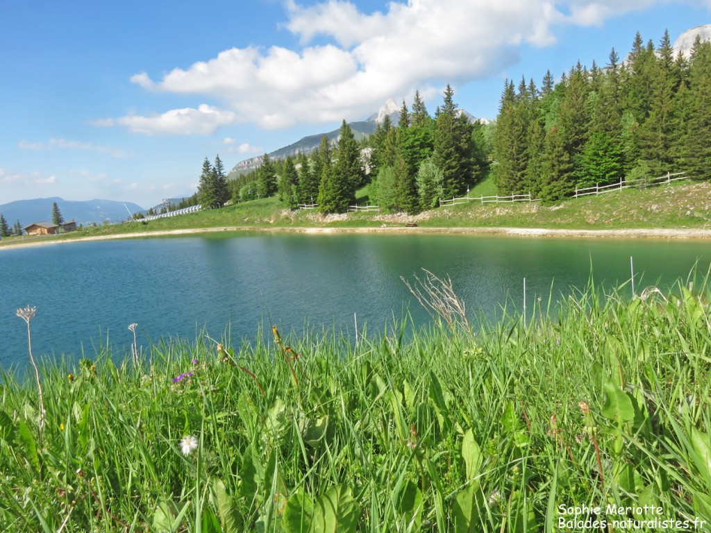 Lac du Mirey