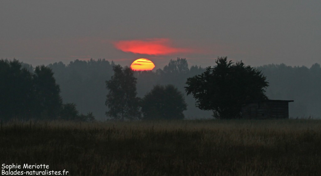 Le soleil se lève