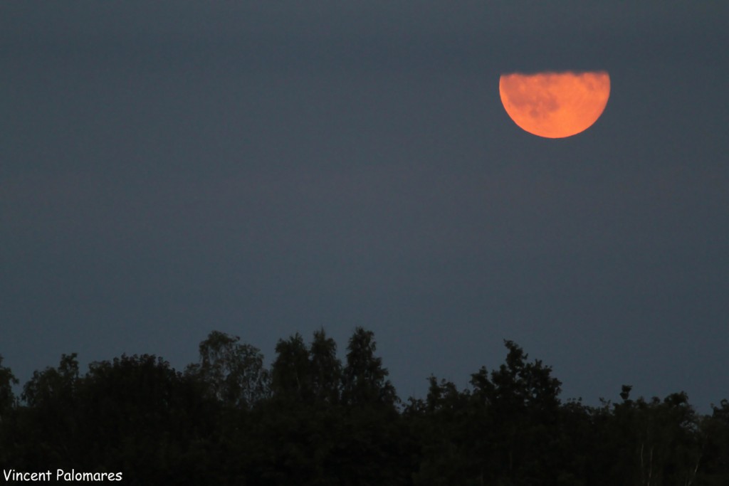 La lune se lève