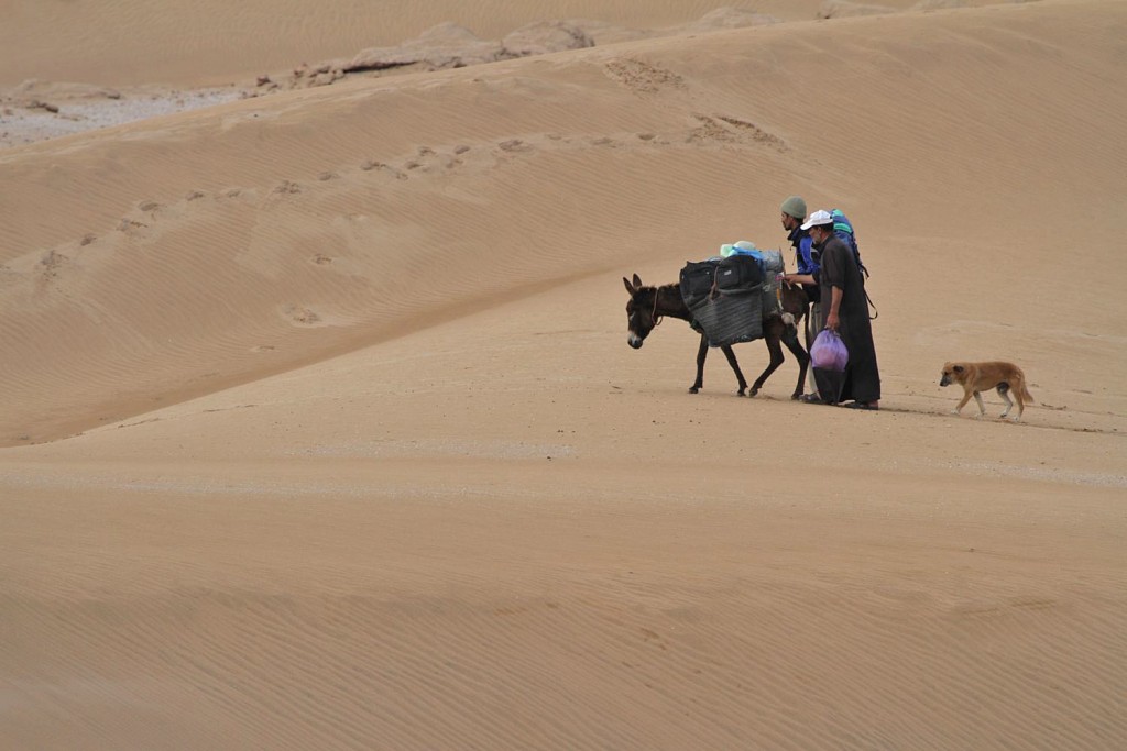 Dunes de Tamri