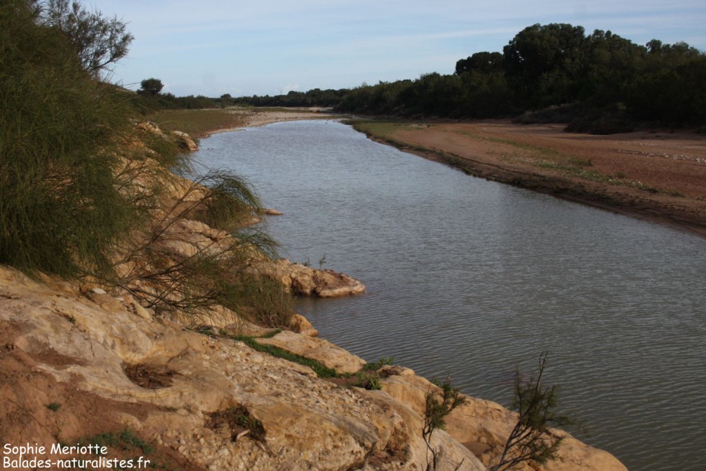 Oued Ksab