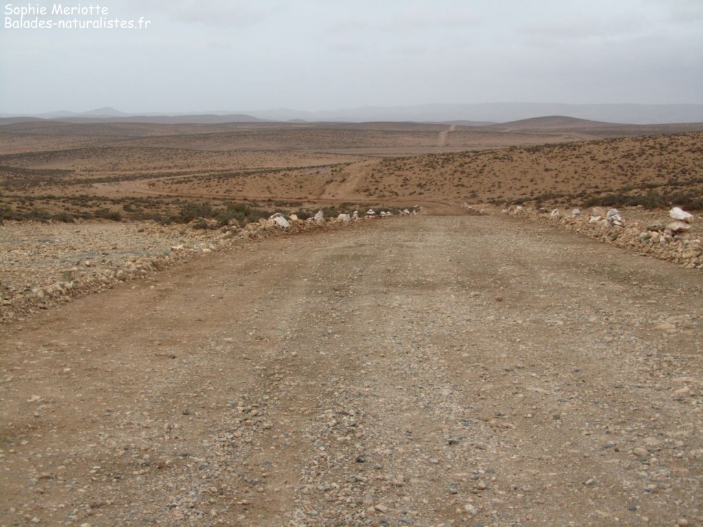 Piste de Fort Bou Jérif