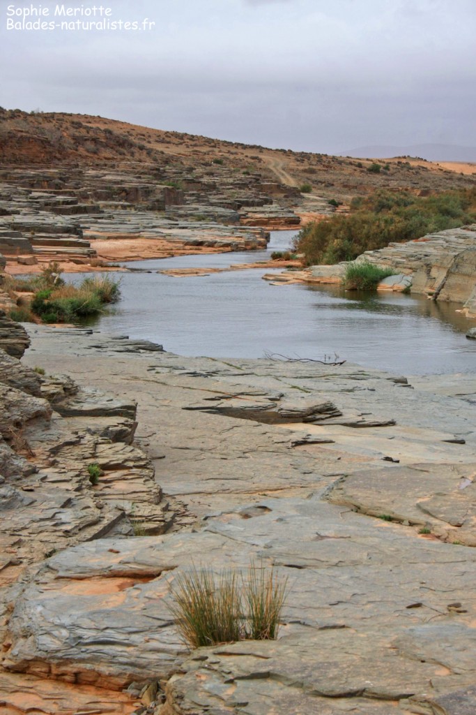 Oued Assaka sur la route pour Plage blanche