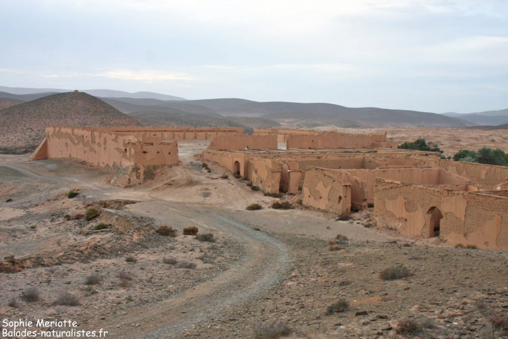 Fort Bou Jérif