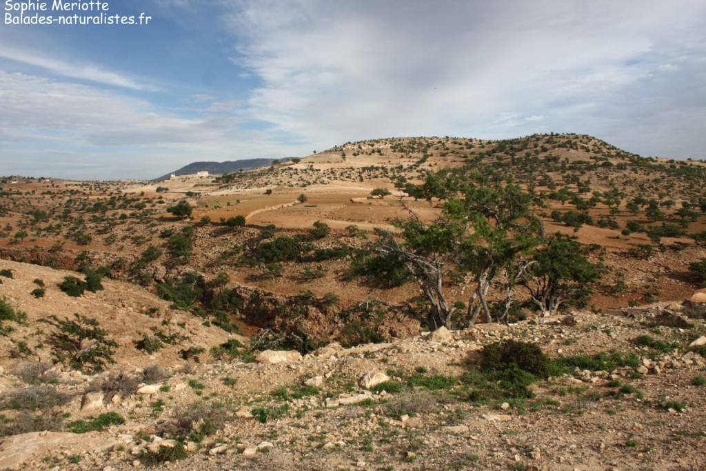 Route pour Sidi Kaouki