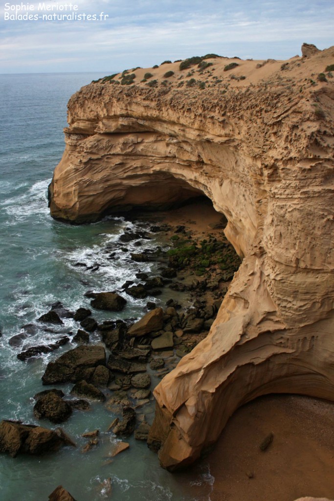 Falaises de Tamri