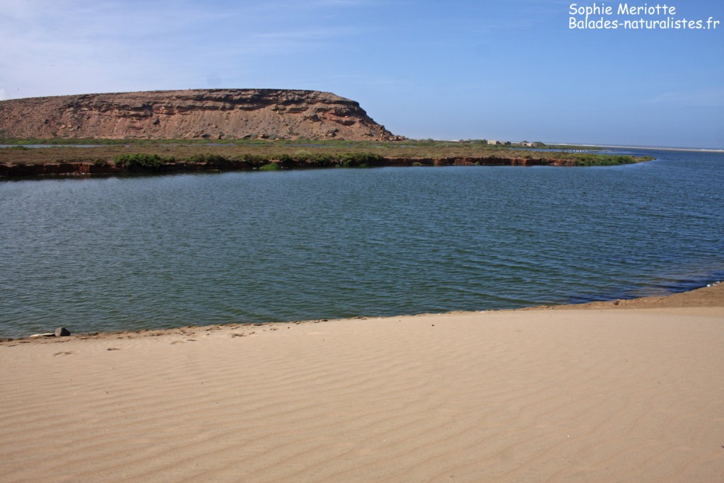 Embouchure de l'Oued Noum à Plage blanche