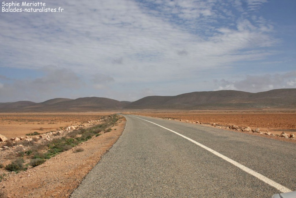 Route au sud de Goulimine
