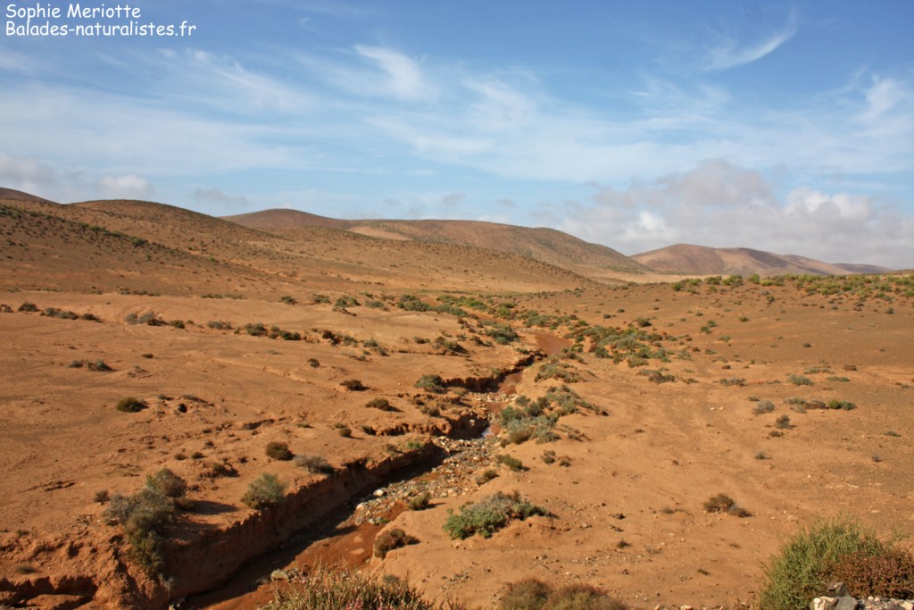 Paysages au sud dz Goulimine