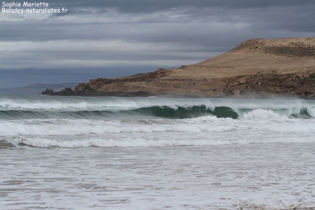 Plage de Tamri