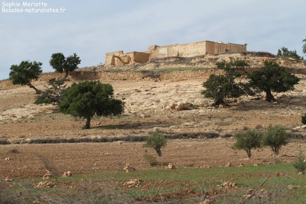 Route pour Sidi Kaouki