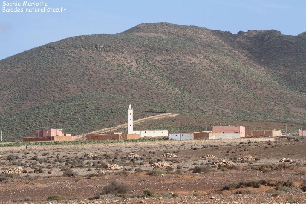 Paysages au sud de Goulimine