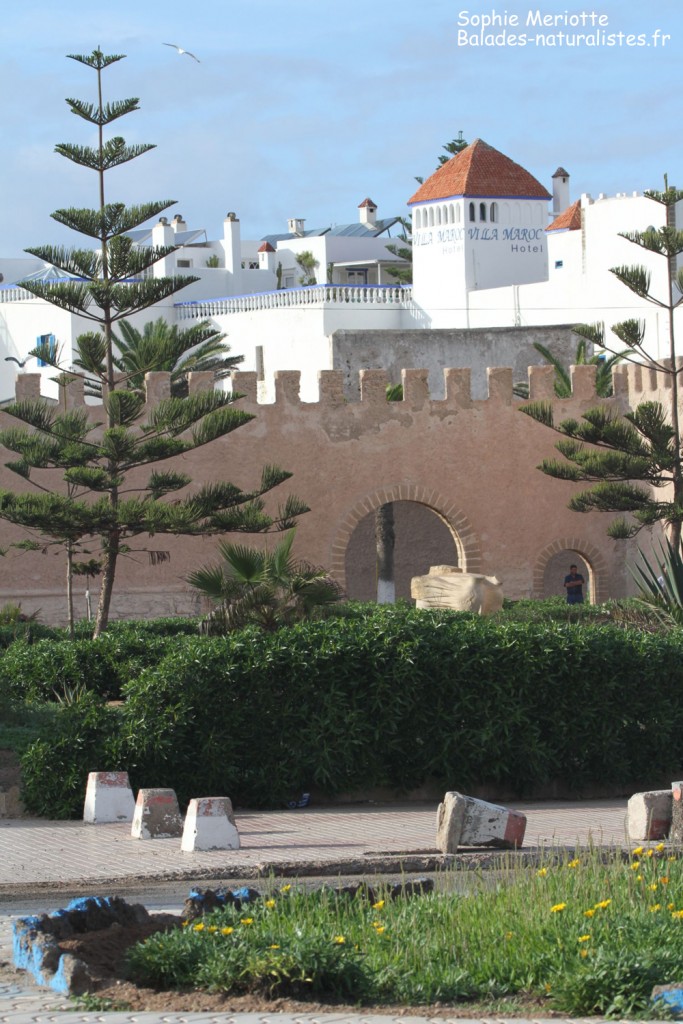 Essaouira