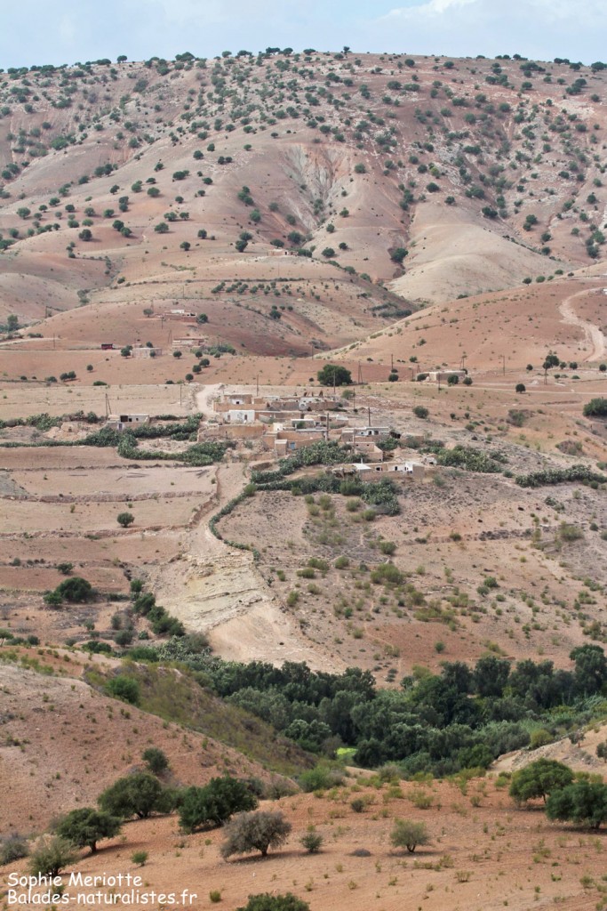 Route en direction de Had Touabet