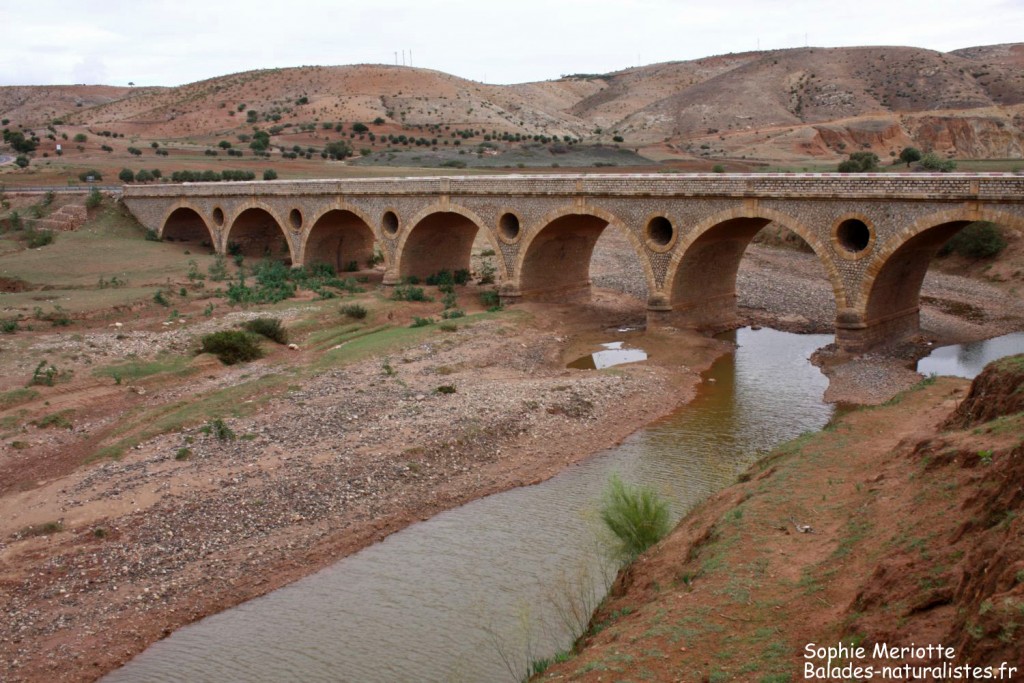 Oued Tensif