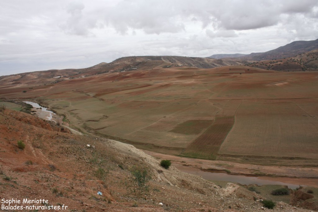 Oued Tensif