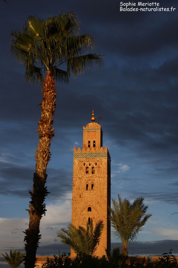 Marrakech, La Koutoubia