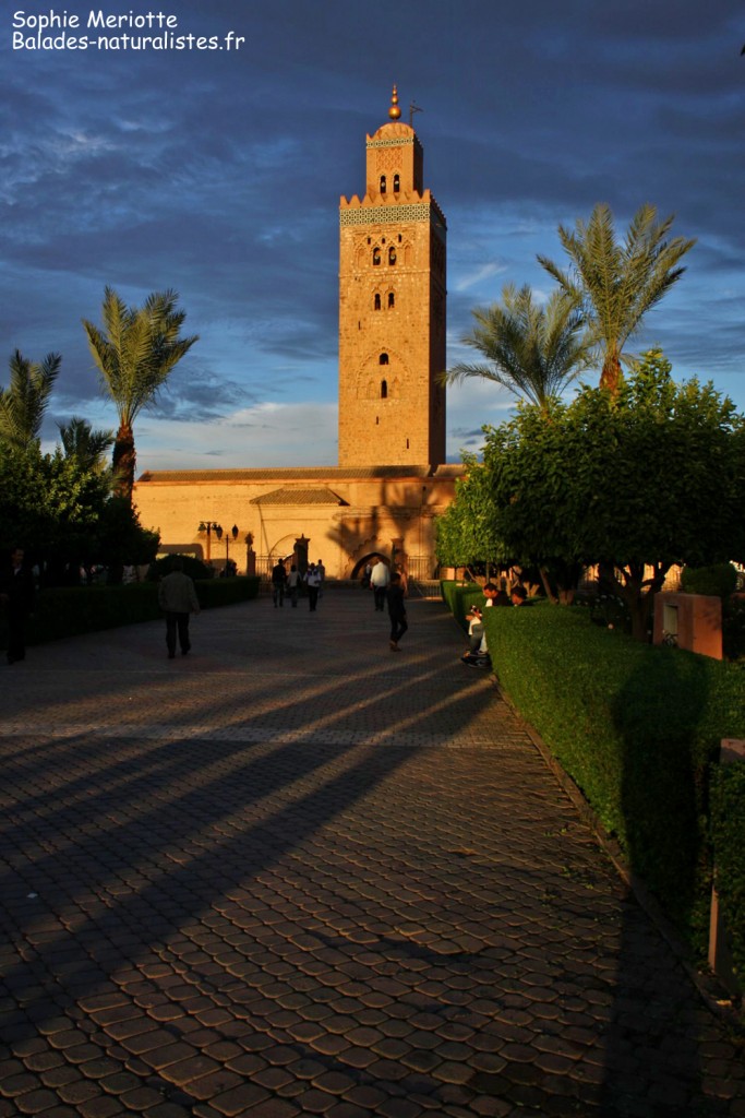 Marrakech, La Koutoubia
