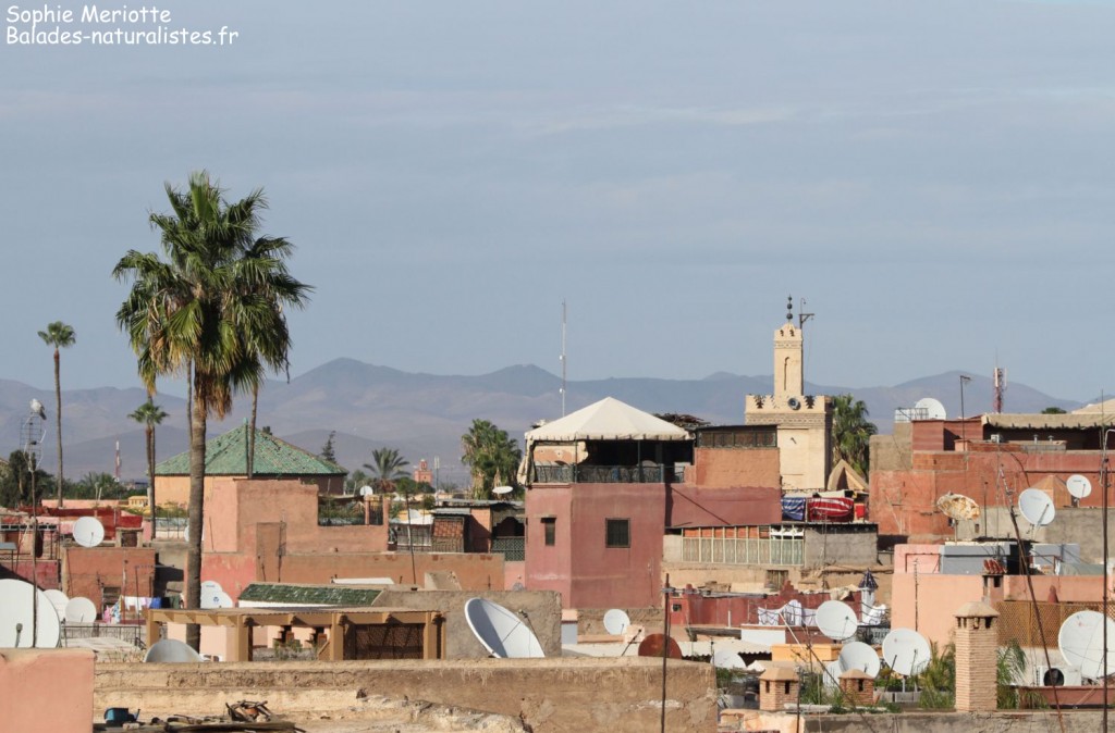 Marrakech