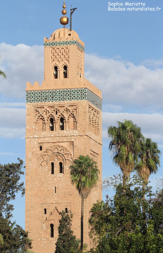 Marrakech, La Koutoubia
