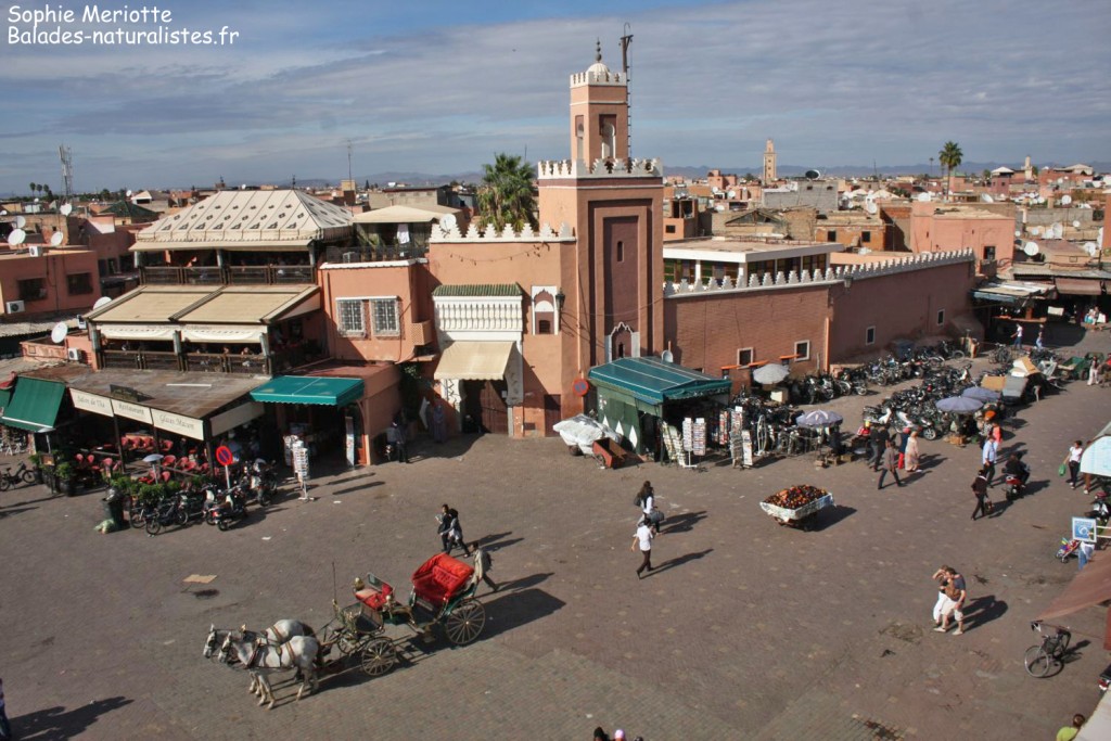 La place Jemaa el Fna
