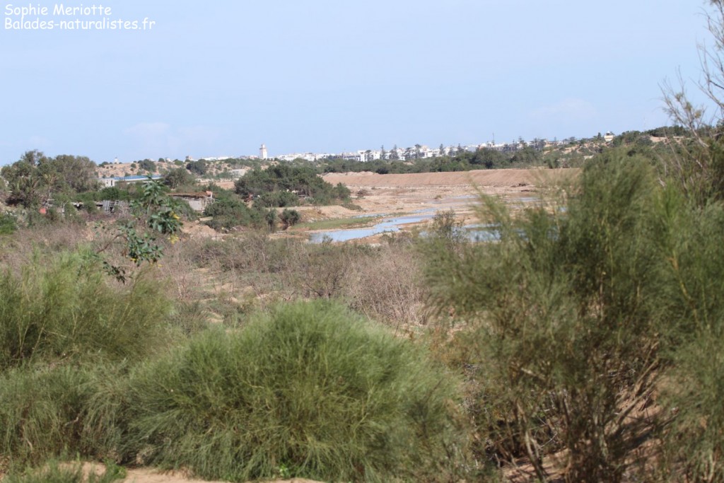 Oued Ksab