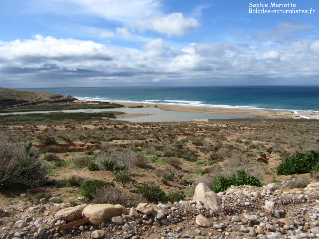 Embouchure de l'oued Tamri