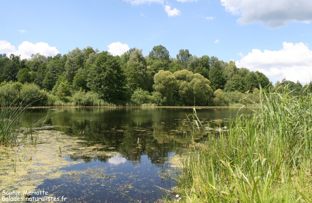 Lac de Topilo