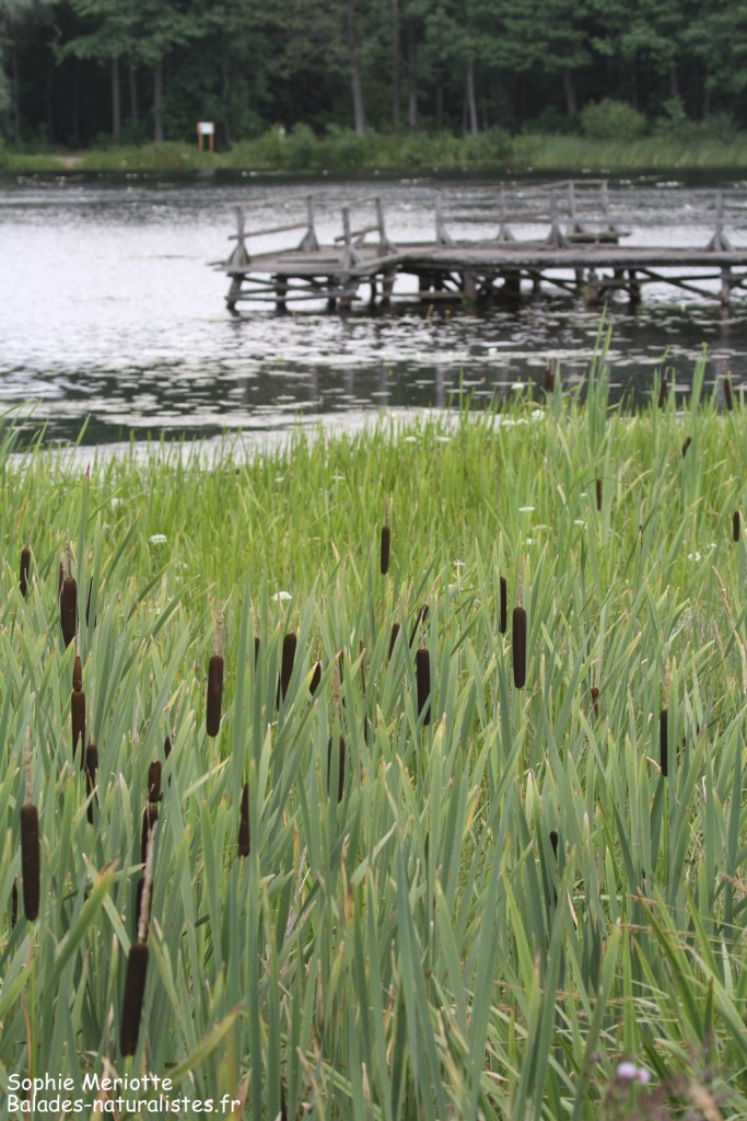 Lac de Topilo