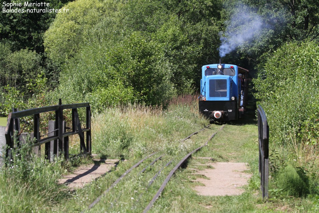 Train près du Lac de Topilo