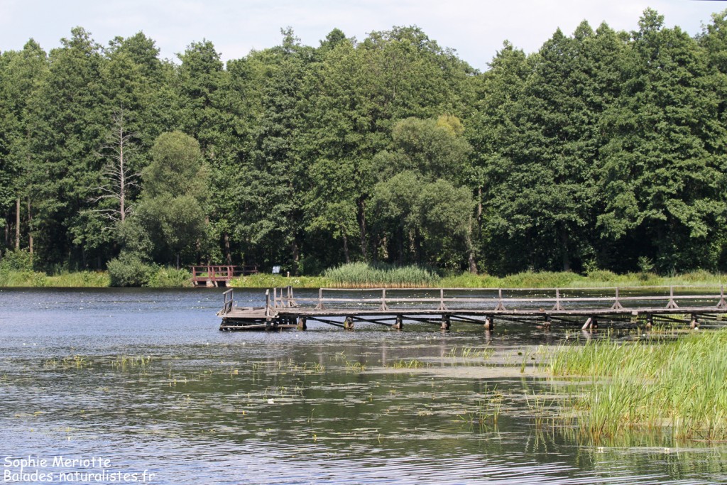 Lac de Topilo