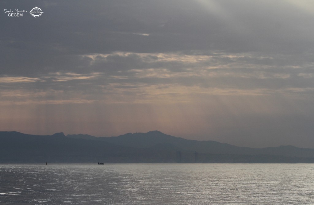 Lumières du matin