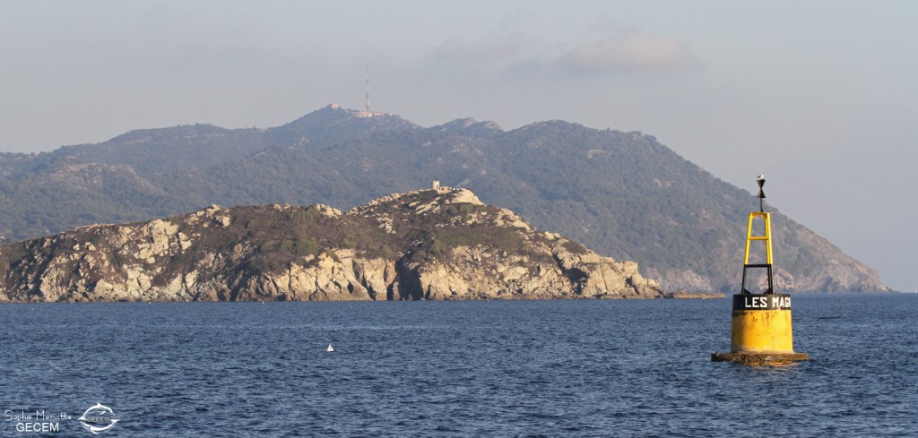 Retour dans la baie de Sanary avec vue sur l'île des Embiez et le Cap Sicié