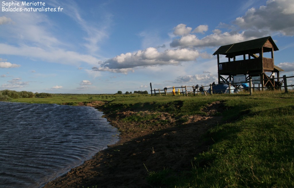 Camping de Czynne au bord de la Biebrza